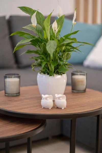 Sofilins Luxury Suite, Ανάληψη Χερσονήσου.